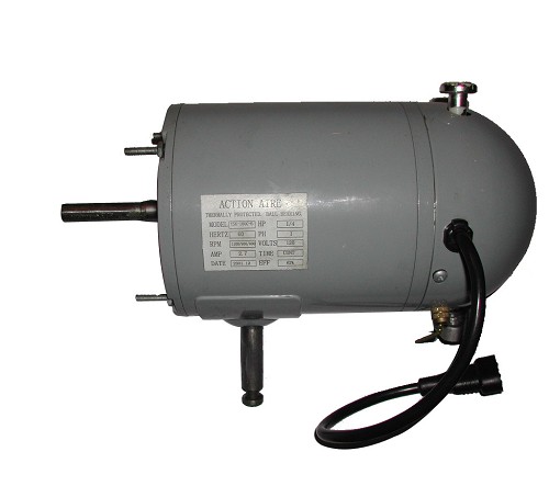 Б(yng)L(fng)C(j)늙C(j)